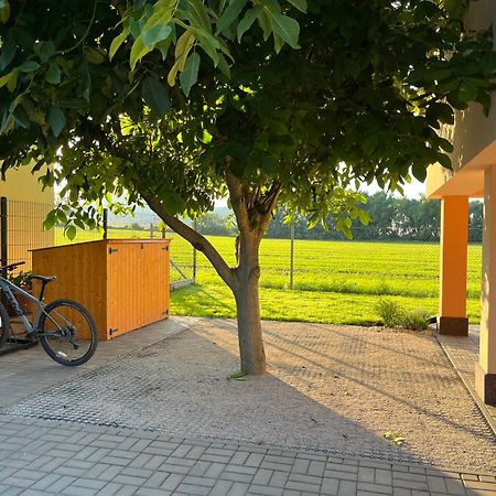 Rekreacni Dum U Jezer, Milovice 6别墅 外观 照片
